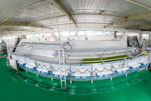 山南茶區(qū)，珍品輩出 宜昌茶產(chǎn)業(yè)介紹