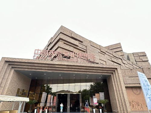 茯茶鎮 以茶為媒，帶活百億產業，鑄就中國茯茶之都