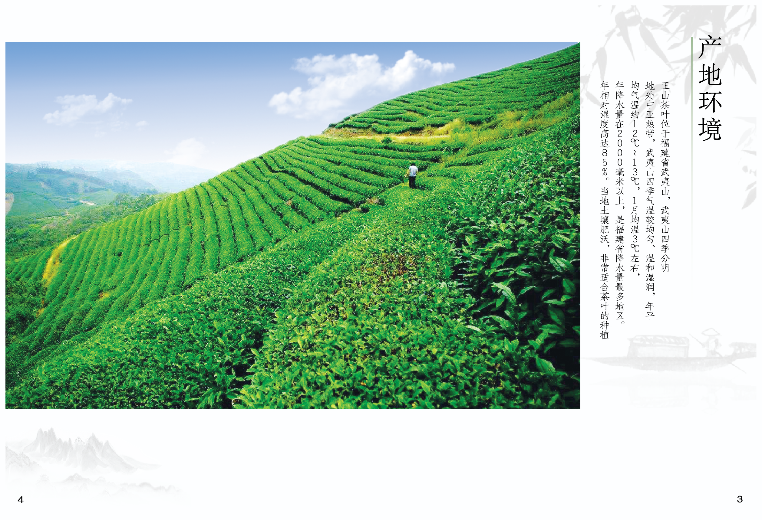 正山堂 一盞茶香，承傳千年